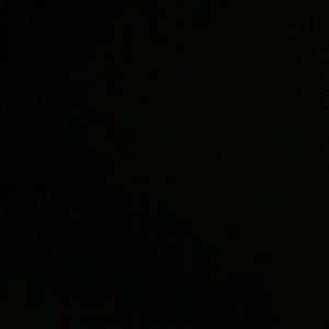 Meet your Posher, Bralynn